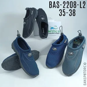 BAS-2008-L2-35-38