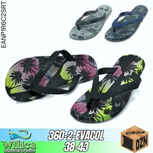 360-2-EVACOL-38-43-OSR