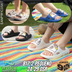 817-2-PEQUEÑO 24-29 OSR_22