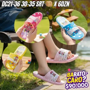 DC21-36 30-35 SRT_20_11zon