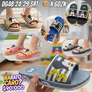 DG48 24-29 SRT_30_11zon