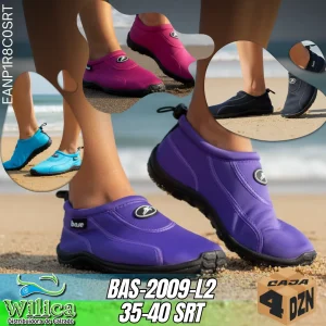 BAS-2009-L2