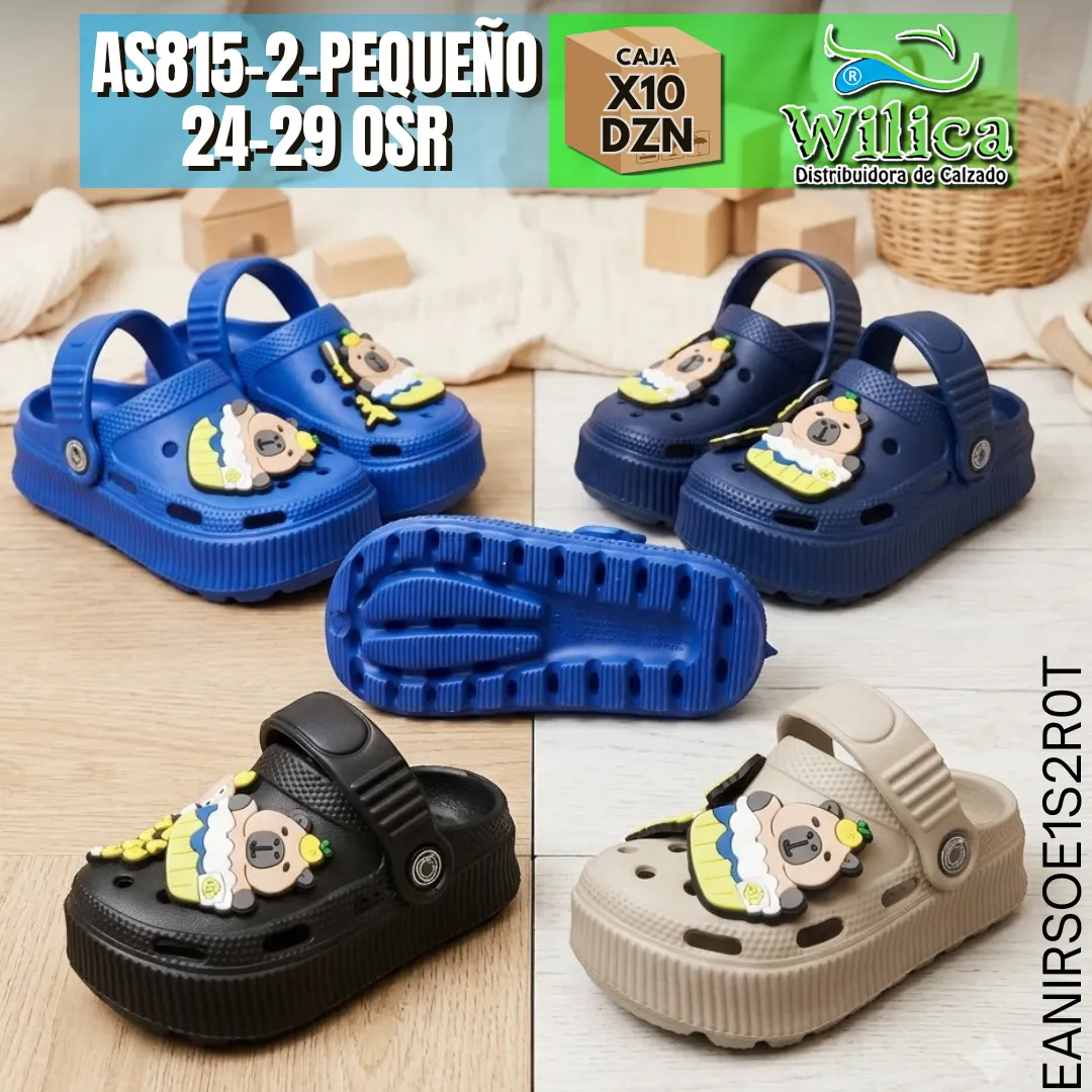 AS815-2-PEQUEÑO