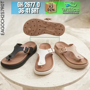 GH-2677-D
