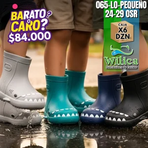 065-LO-PEQUEÑO