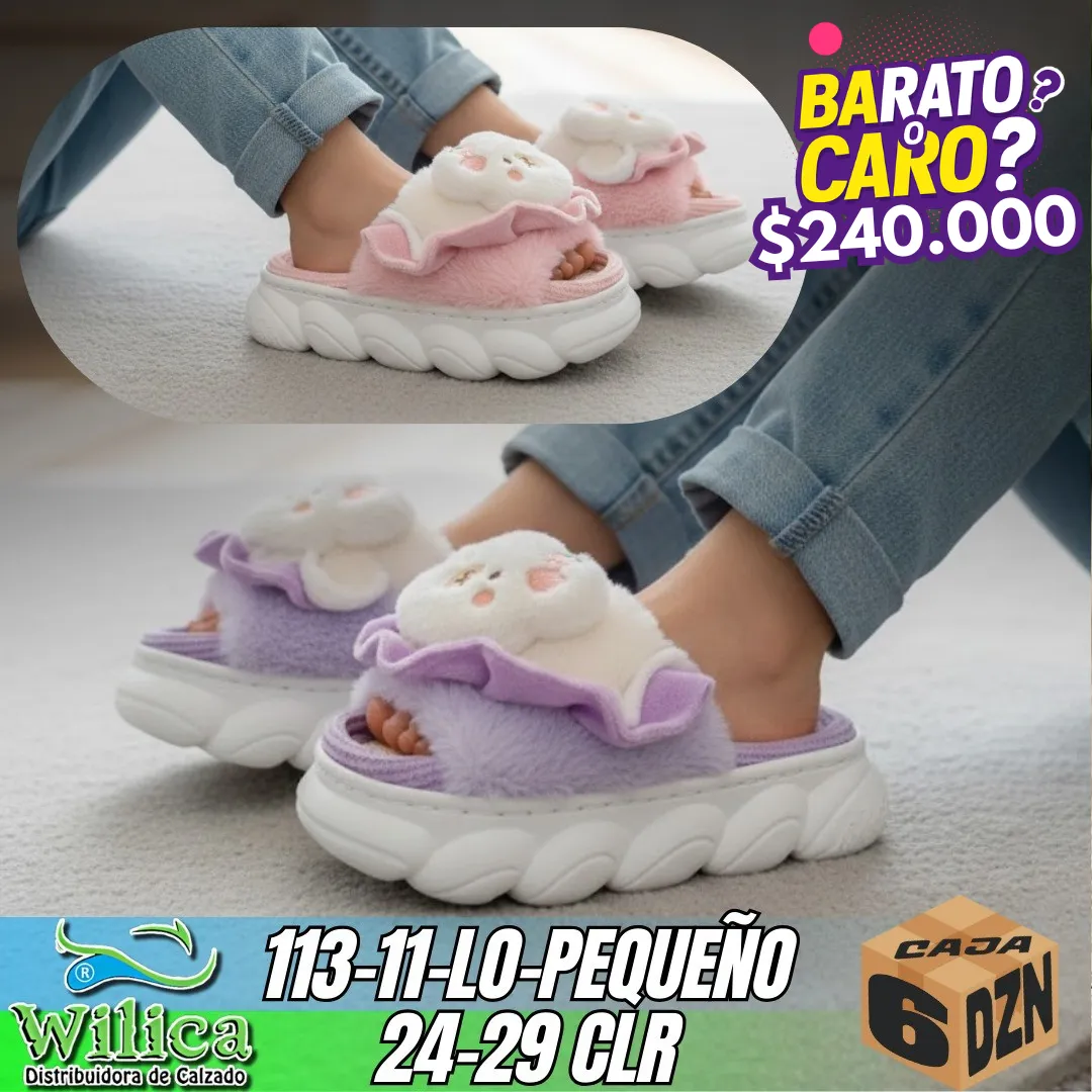 113-11-LO-PEQUEÑO