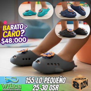 155-LO-PEQUEÑO