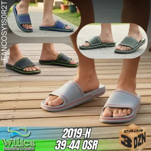 2019-H