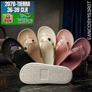 2070-TIERRA