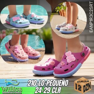 210-LO-PEQUEÑO