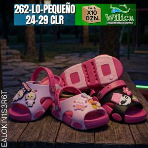 262-LO-PEQUEÑO