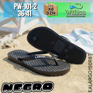 PW-101-2