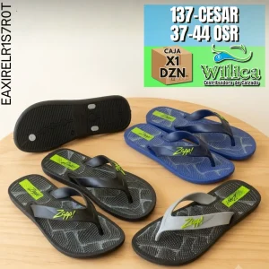 137-CESAR