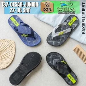 137-CESAR-JUNIOR