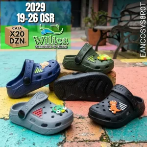 2029