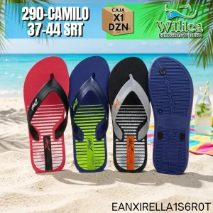 290-CAMILO