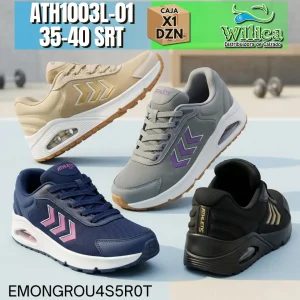 ATH1003L-01