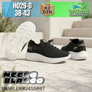 H029-D
