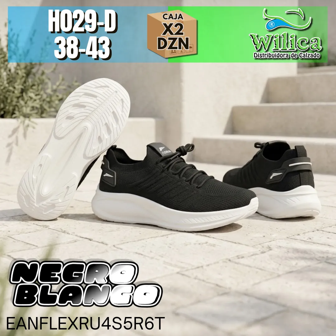 H029-D