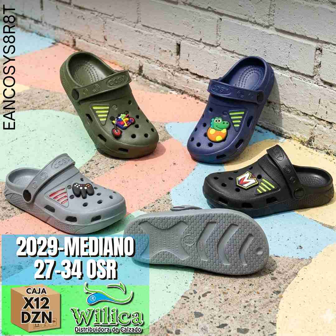 2029-MEDIANO