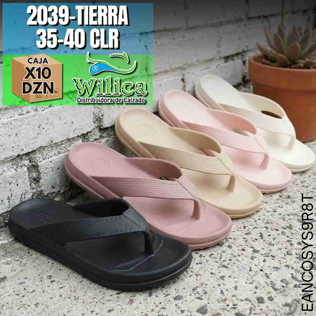2039-TIERRA